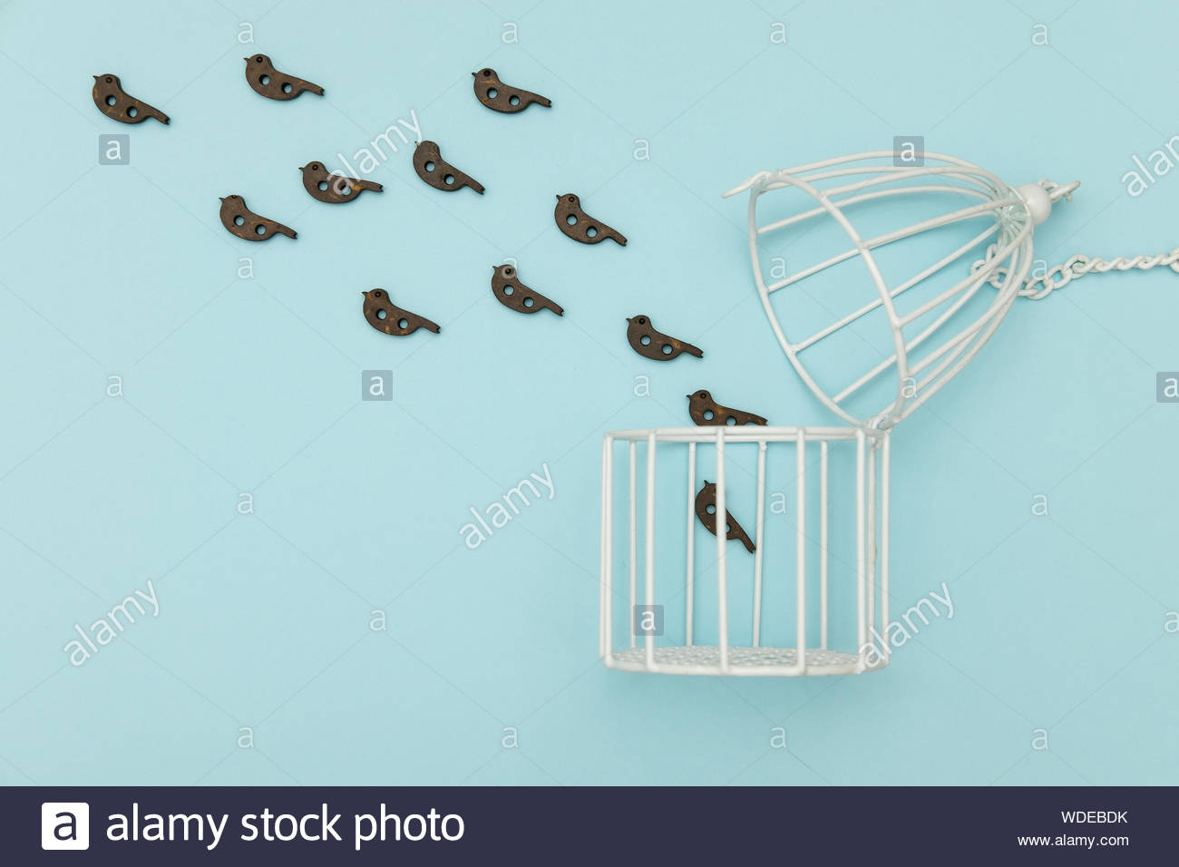 Free download Birds fly out of the white cage on blue background The ...