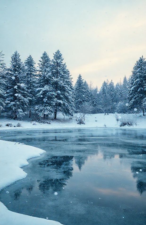 Winter Background Wallpaper