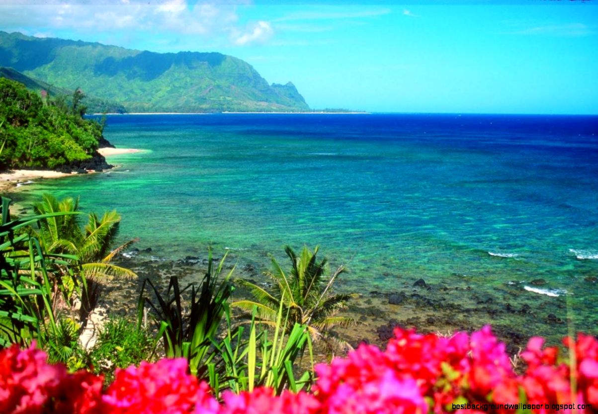 Desktop Wallpaper Hawaiian Beaches Best Background