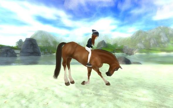 Star Stable Aussehen