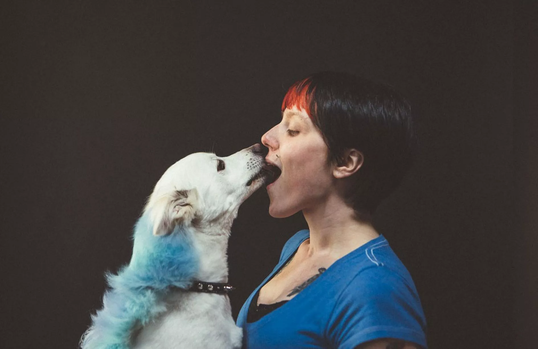 Humans Kissing Dogs Wallpaper