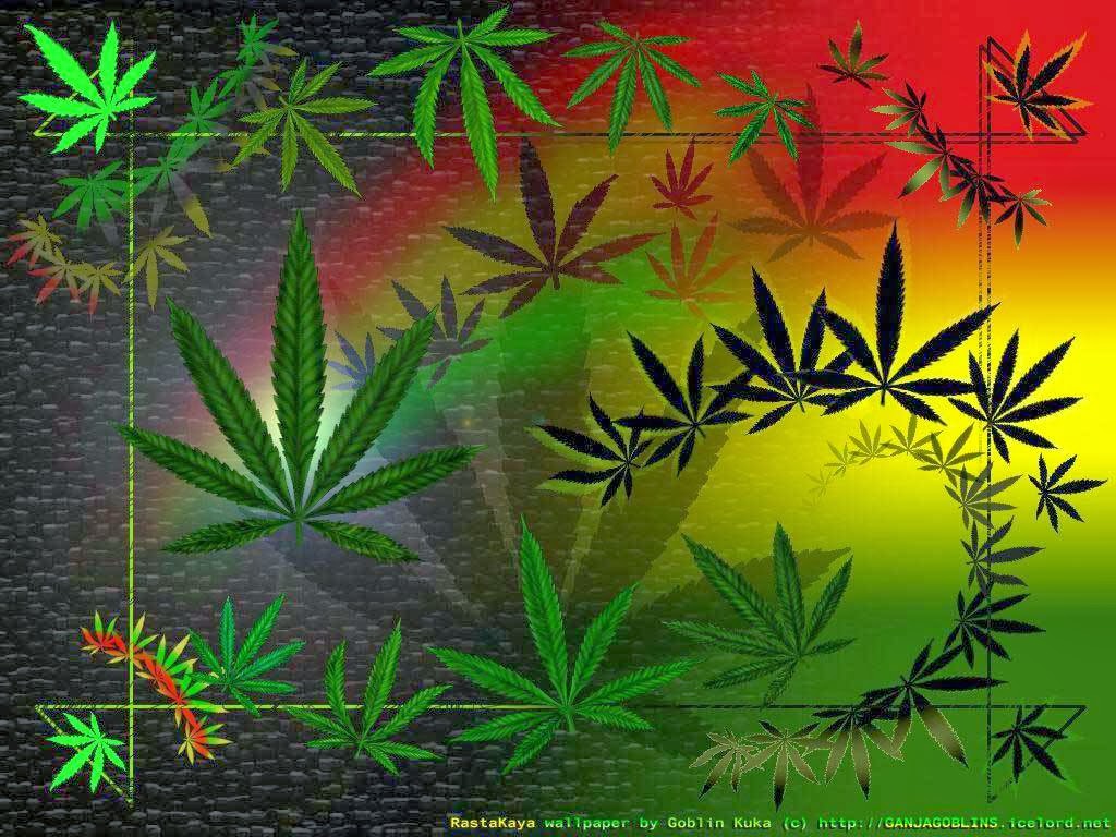 Gambar Reggae Baru 2015 Wallpaper Reggae 2015 1024x768