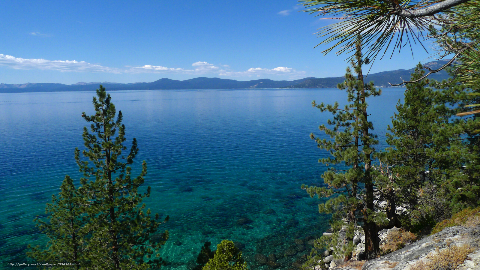 Wallpaper Tahoe Lake Trees Landscape Desktop