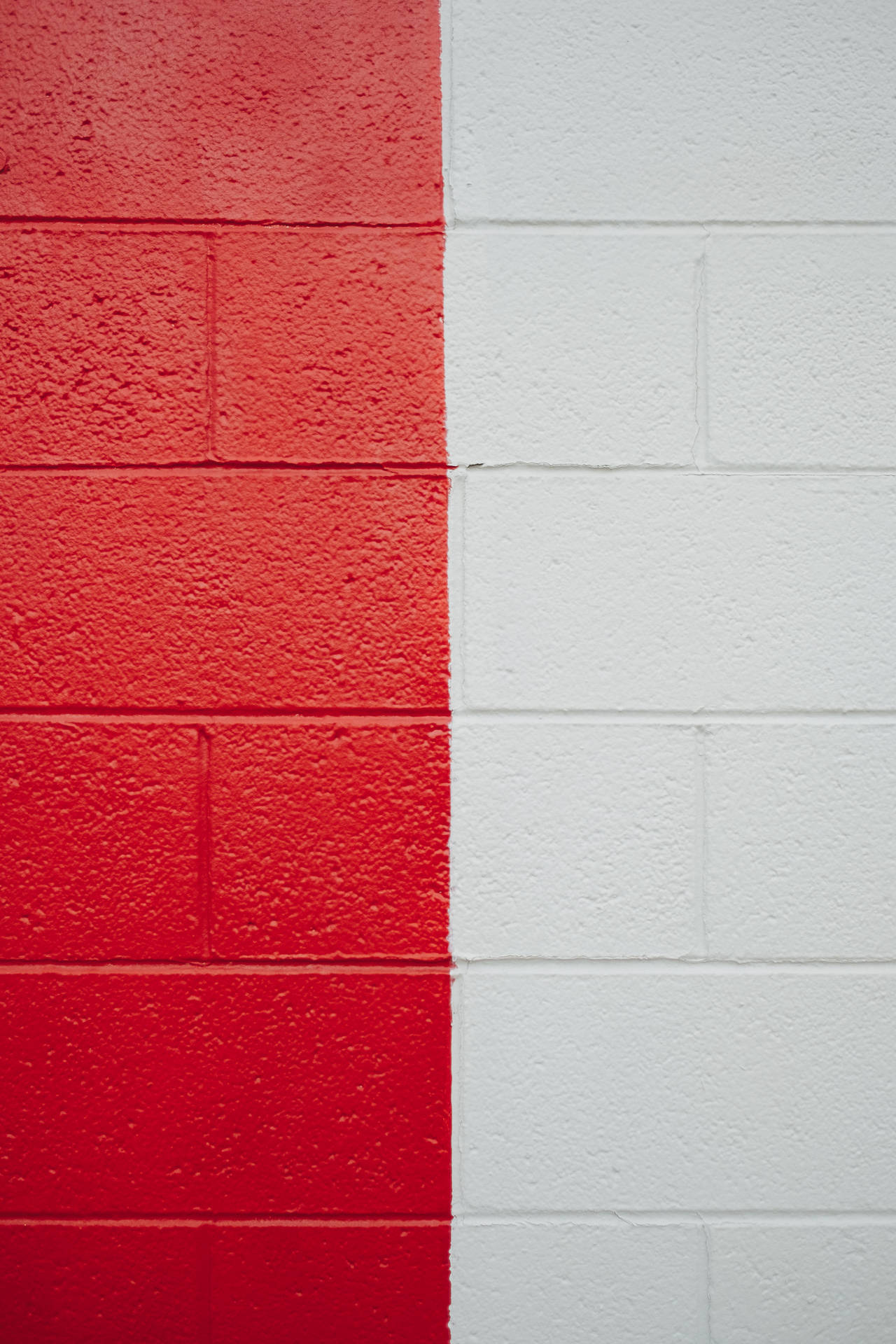 Among Us Red Wallpaper