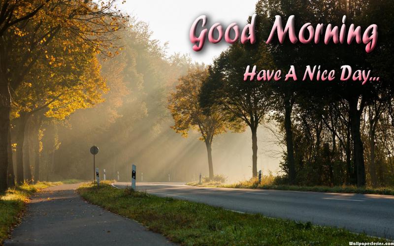 HD Lovely Good Morning Have A Nice Day Wallpaper