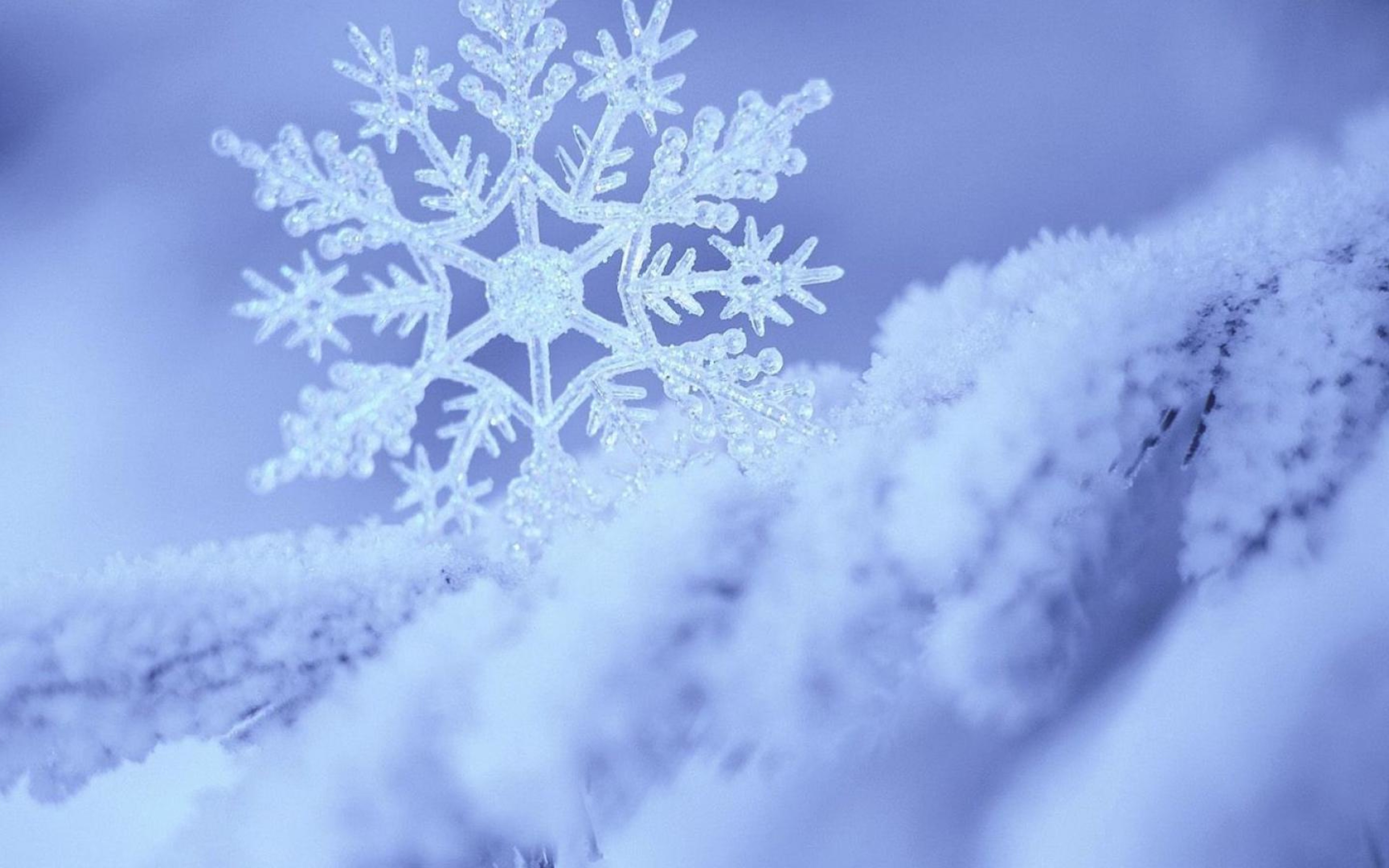 Perfect Macro Snowflake In The Snow HD Winter Wallpaper