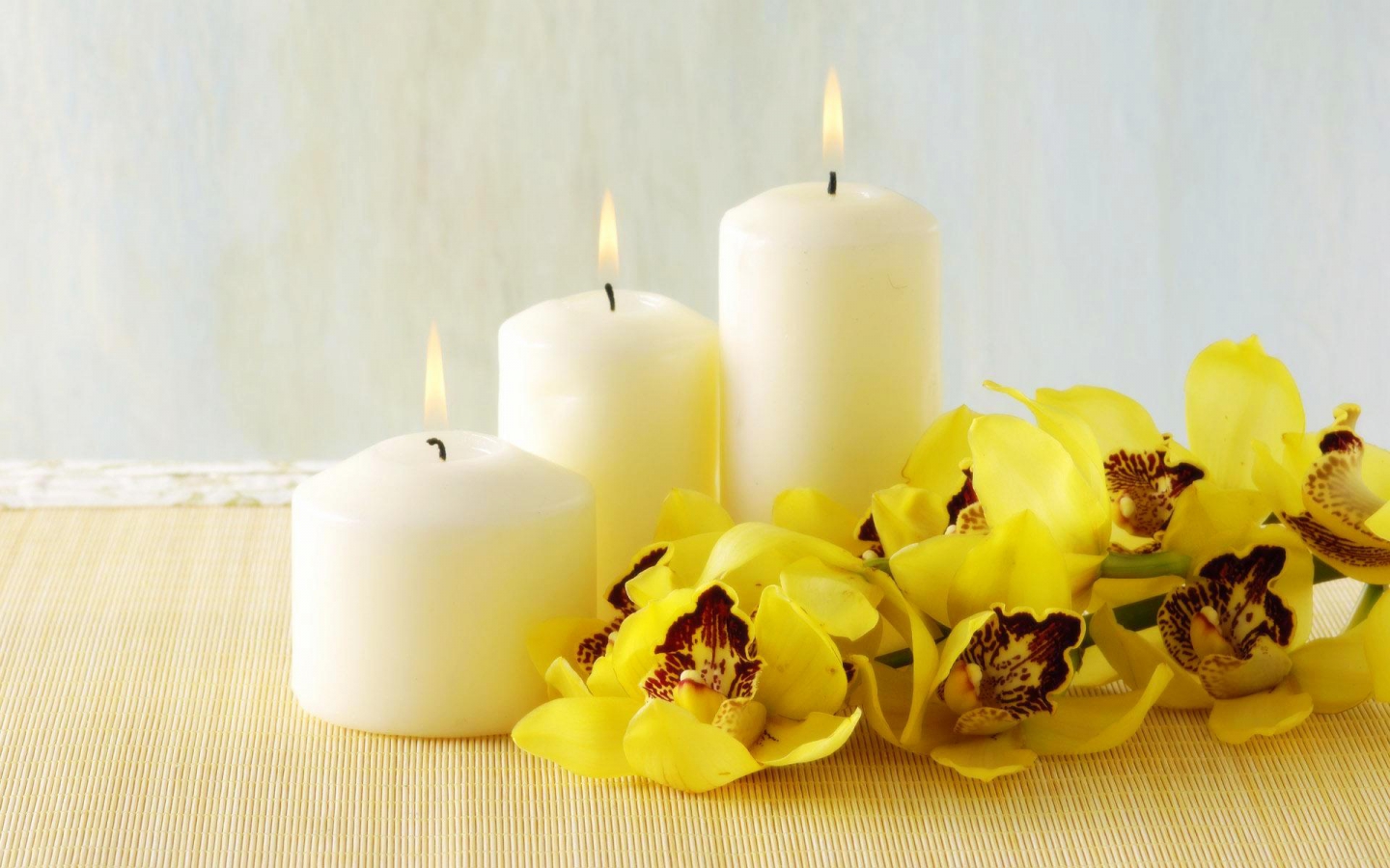 Flowers Image Orchid And Candles HD Wallpaper Background Photos