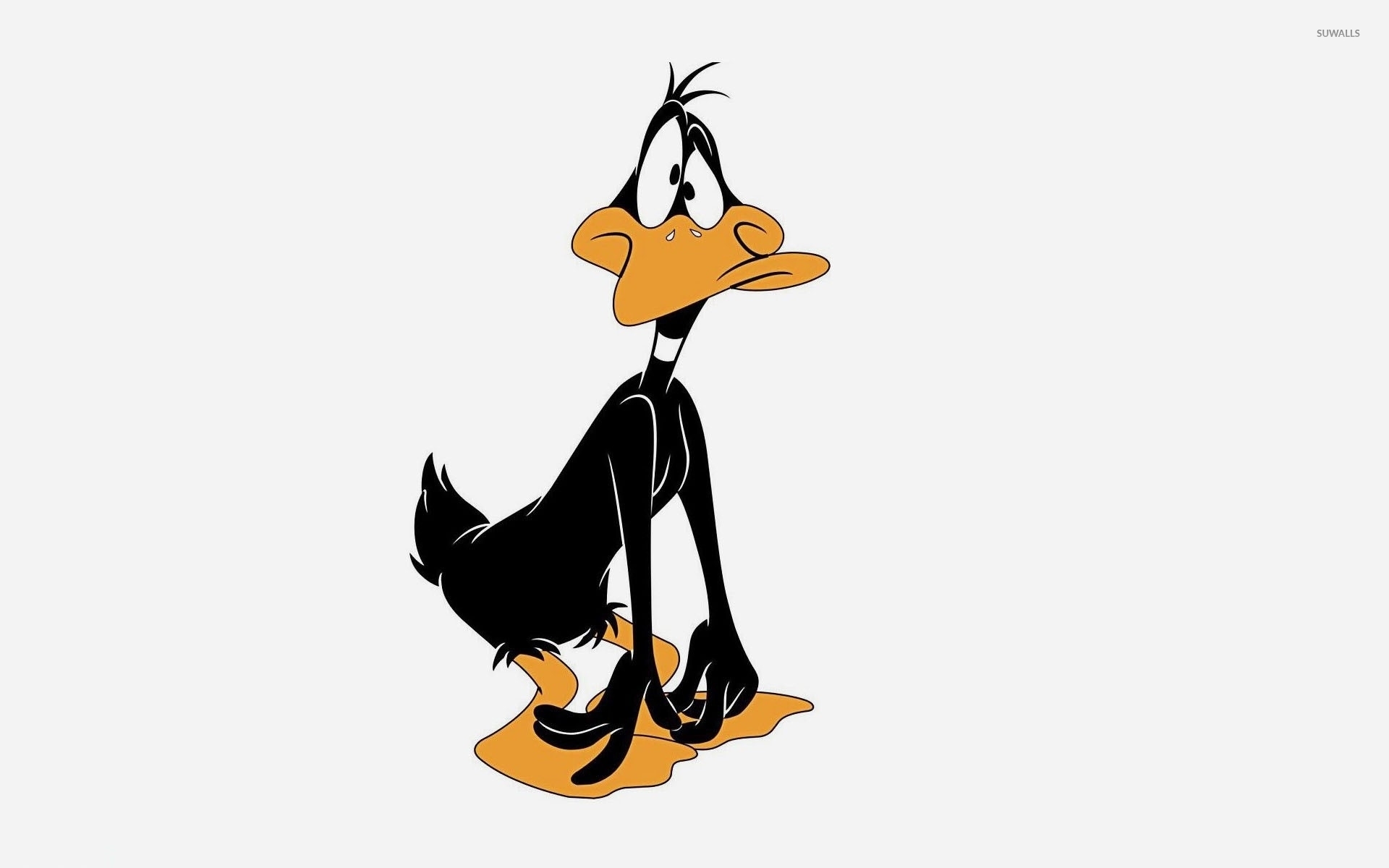 Daffy Duck HD Wallpaper