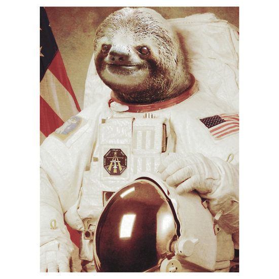 Astronaut Sloth T Shirt Bakus Cosmos Cute Funny Nasa