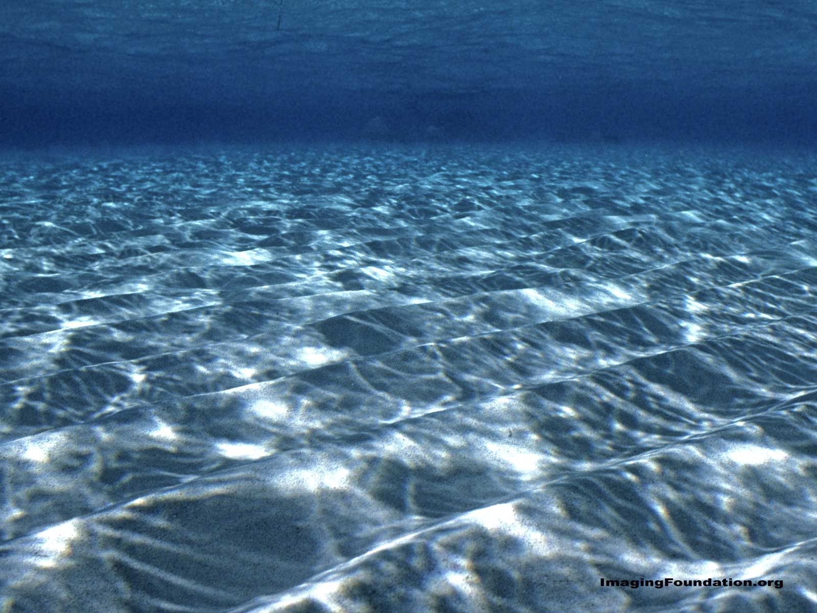 Underwater Wallpaper Desktop Background
