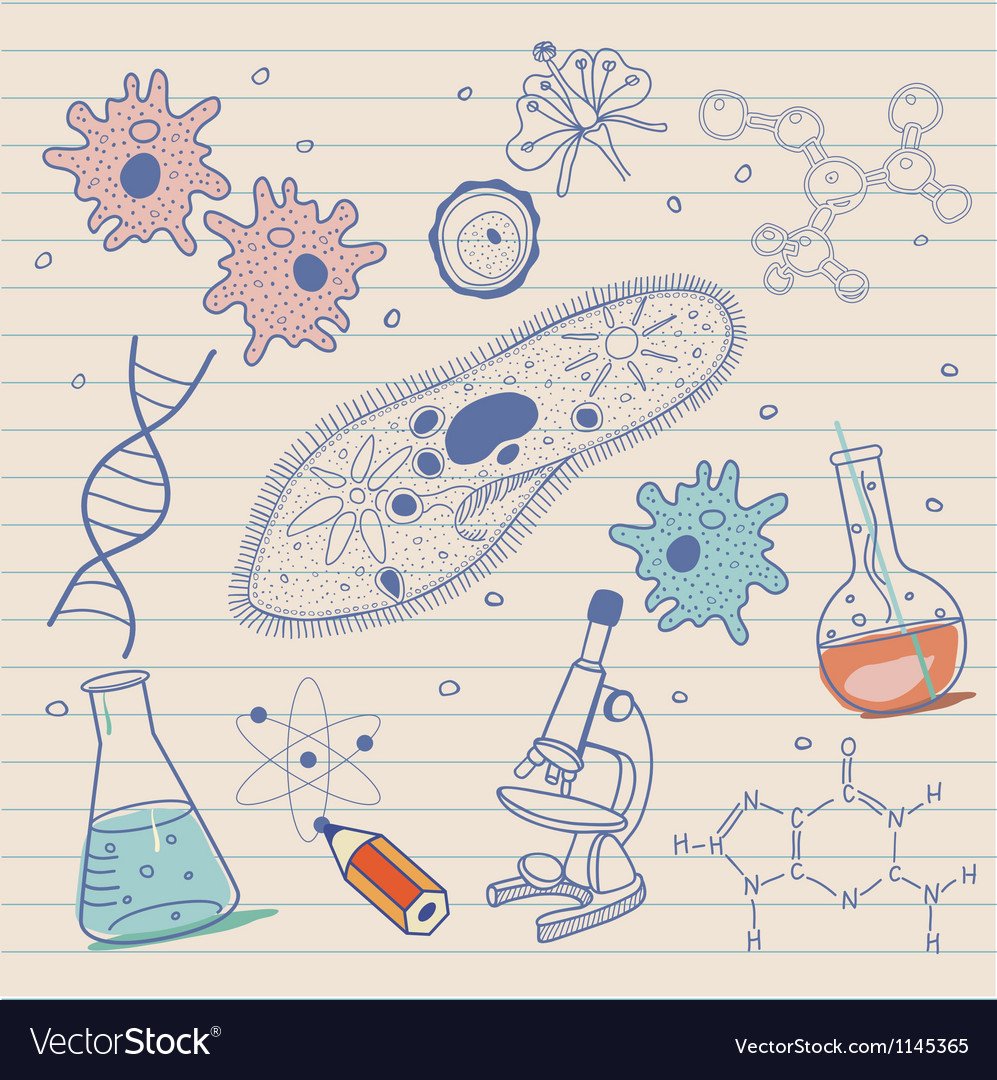 Biology Sketches Background In Vintage Style Vector