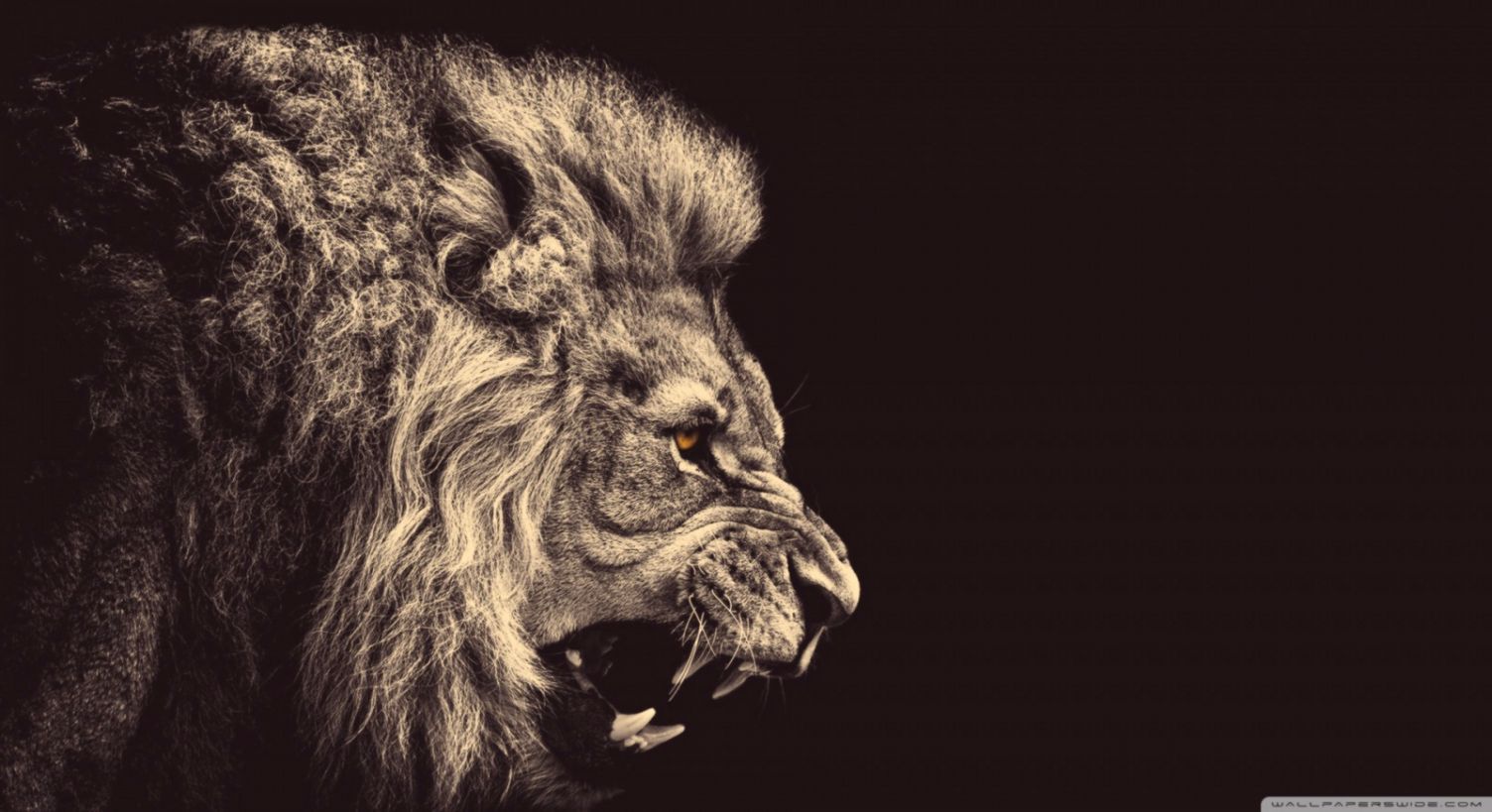 🔥 [20+] Roaring Backgrounds | WallpaperSafari, image size:1504x819