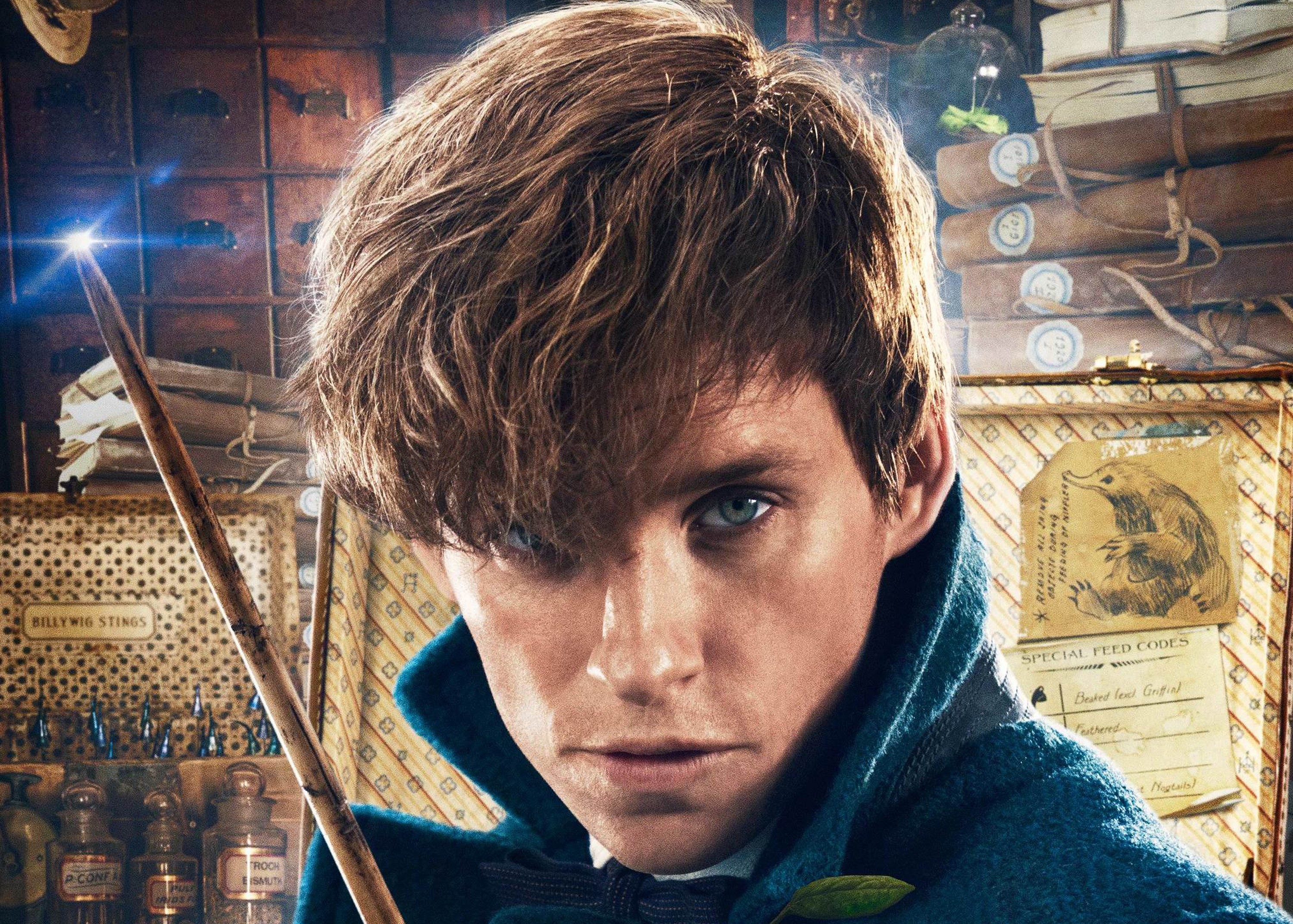 Fantastic Beasts And Where To Find Them Wallpaper X