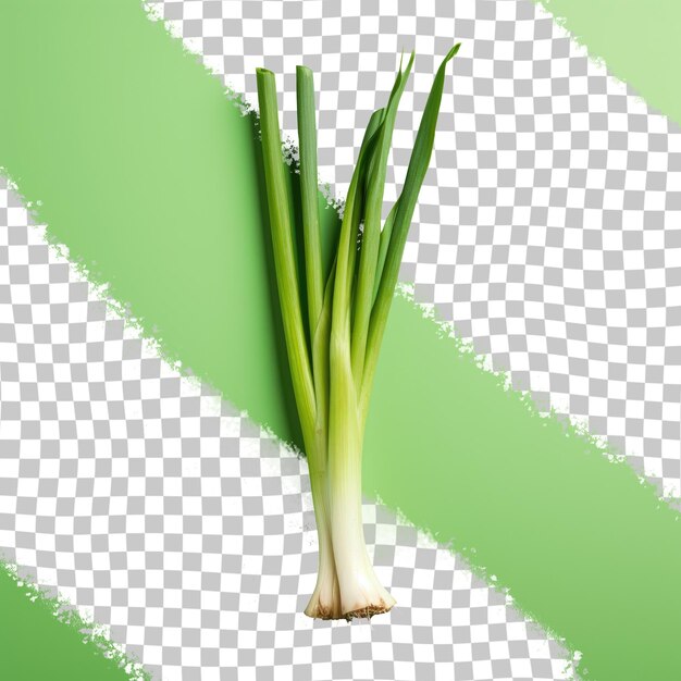 Premium Psd Wallpaper