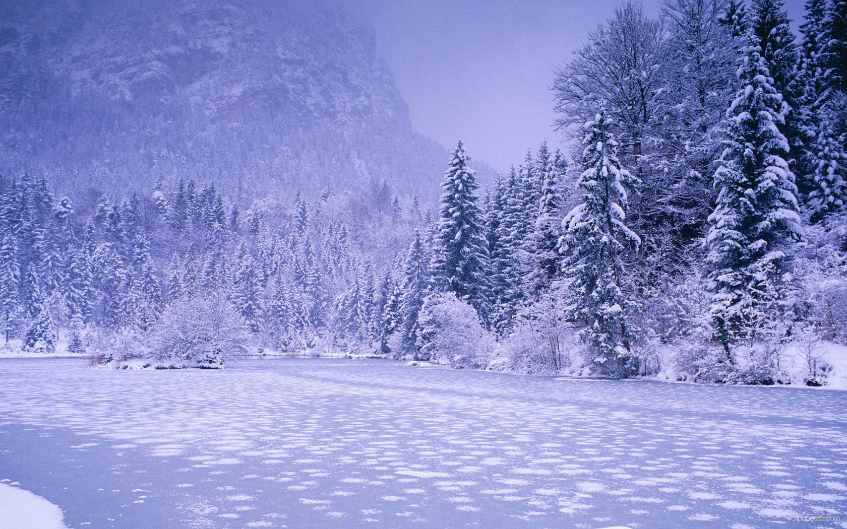 Winter Landscape Widescreen Wallpaper