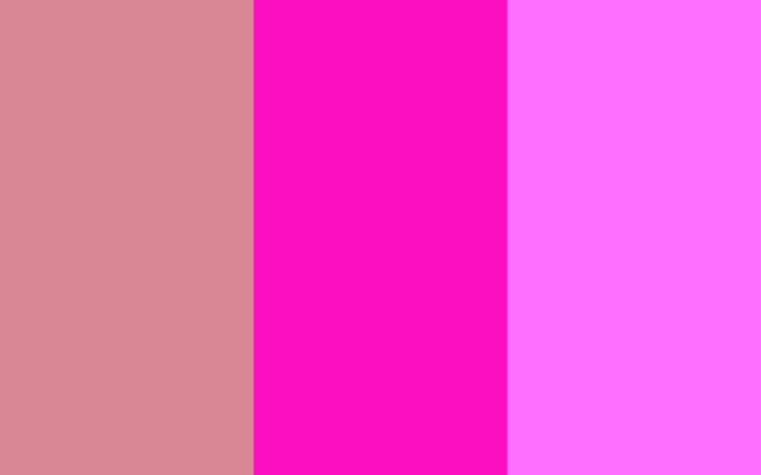 Shocking Pink And Crayola Three Color Background