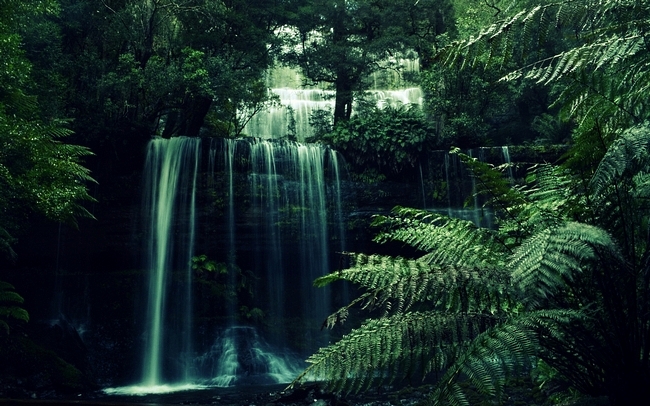 Tropical Waterfalls Wallpaper - WallpaperSafari