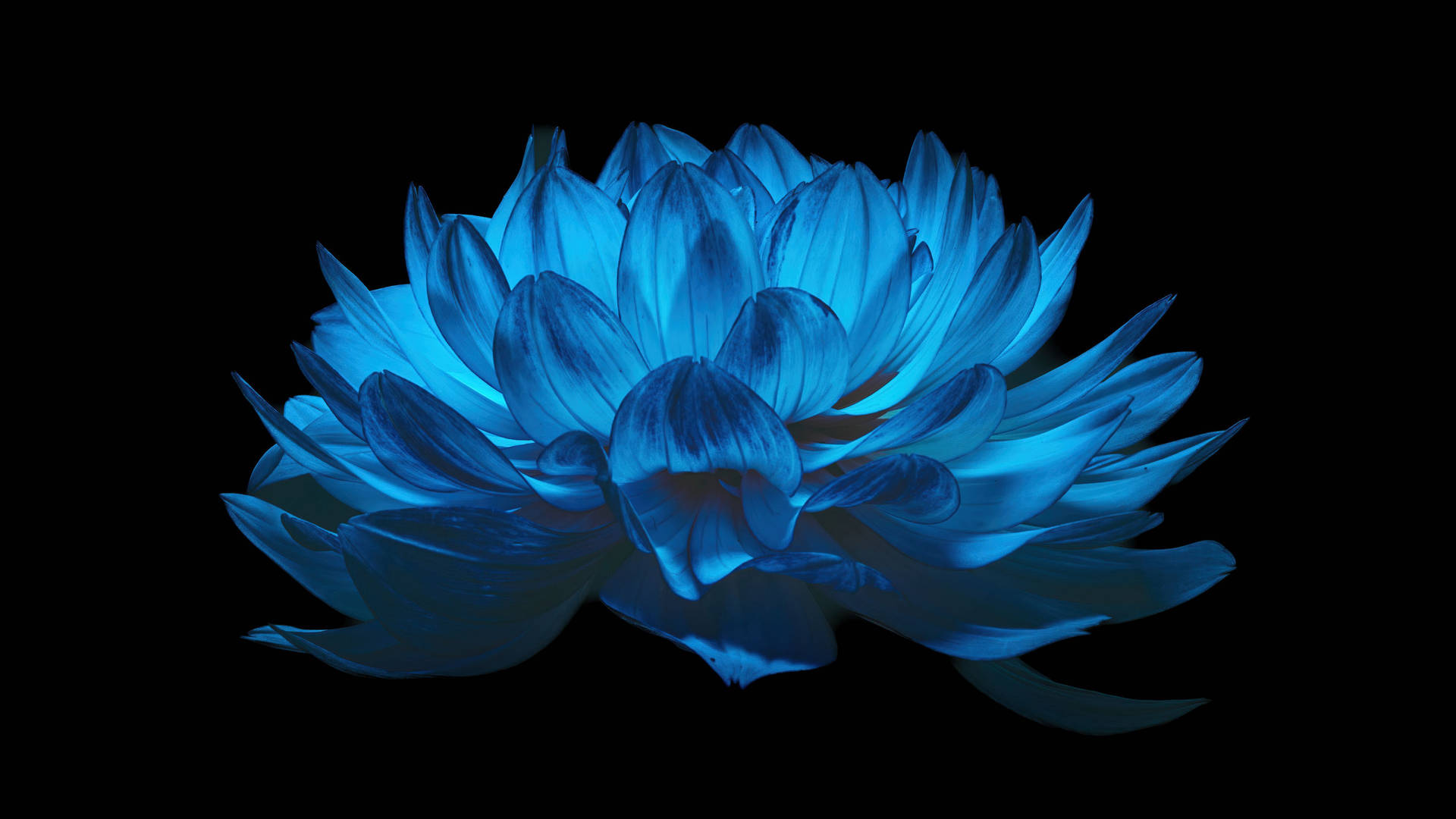 4d Ultra HD Wallpaper