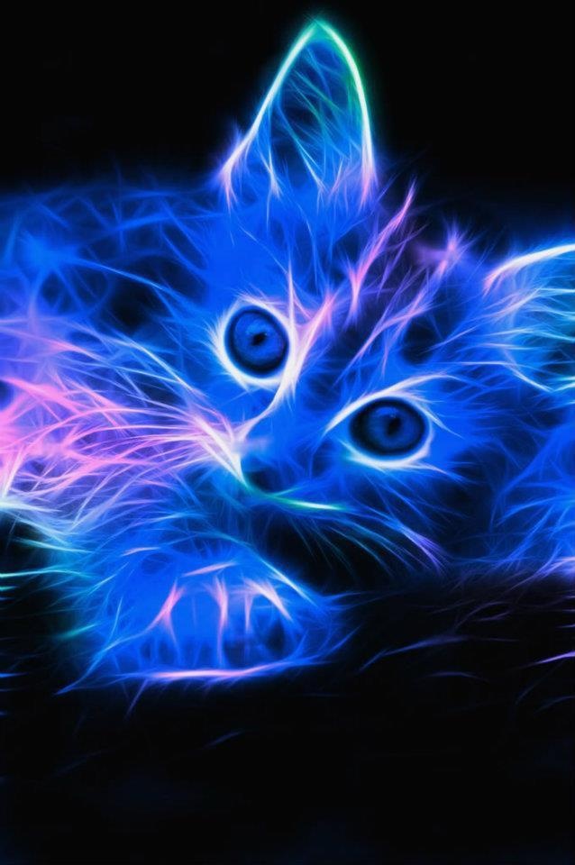 Neon Cat Photography 3d And Fractal
