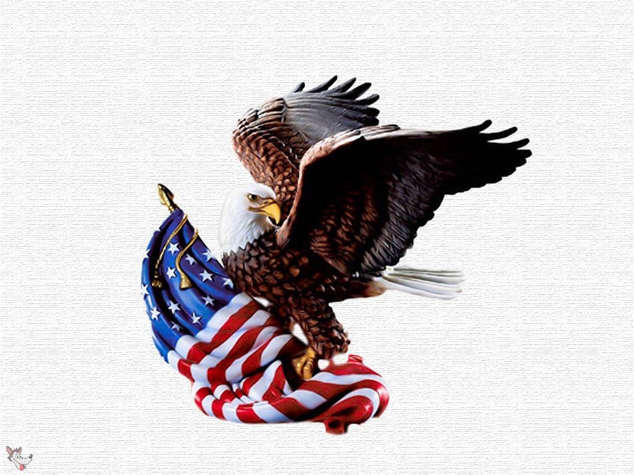 Hq Definition Wallpaper Desktop American Flag Eagle Pictures