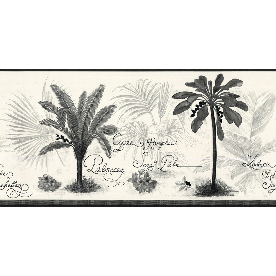 Free download Black And White Palm Tree Prepasted Wallpaper Border at