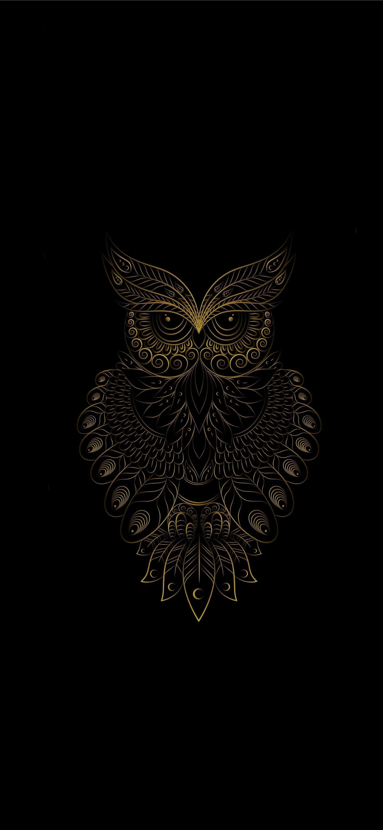 Bird iPhone Wallpaper