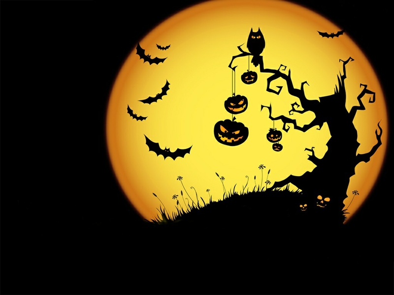 Moon Halloween Jack O Lantern Wallpaper