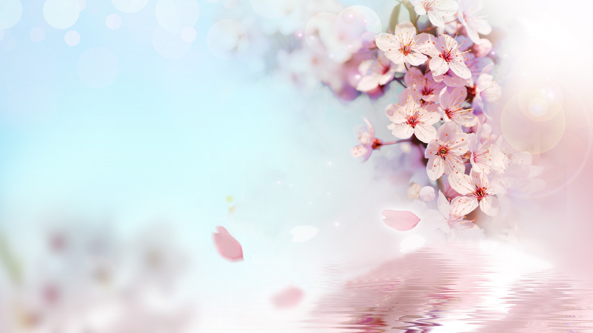 Peach Flowers Wallpapers HD Pictures One HD Wallpaper