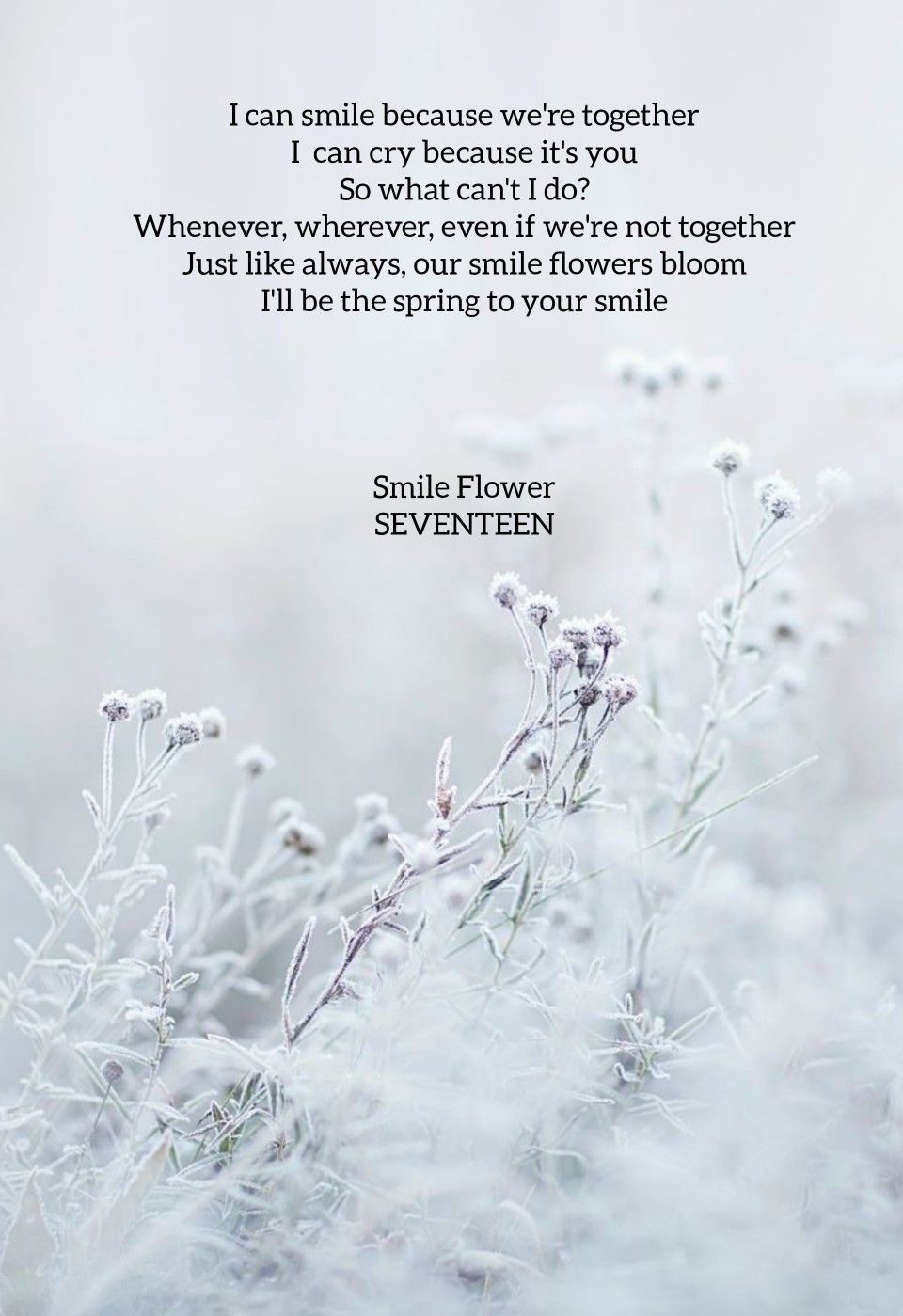 Seventeen Smile Flower Lyrics