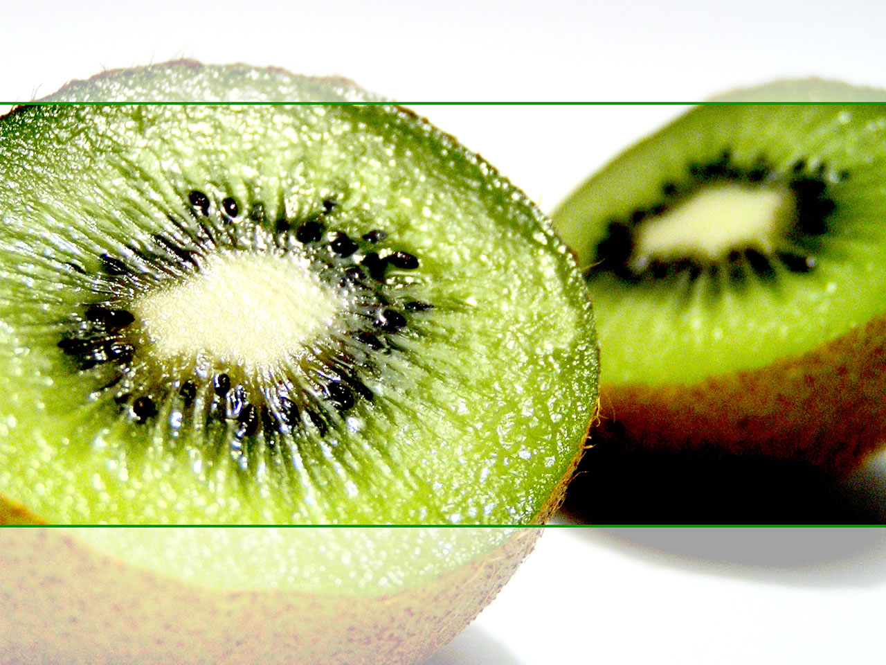 Vistawallpaper Org Vista Wallpaper Kiwi Jpg