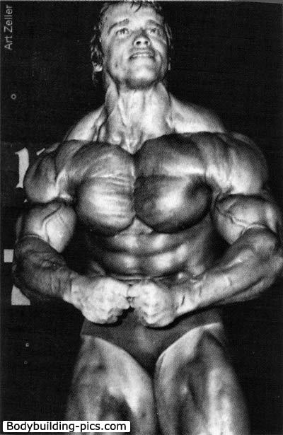 Arnold Schwarzenegger Bodybuilding Photo