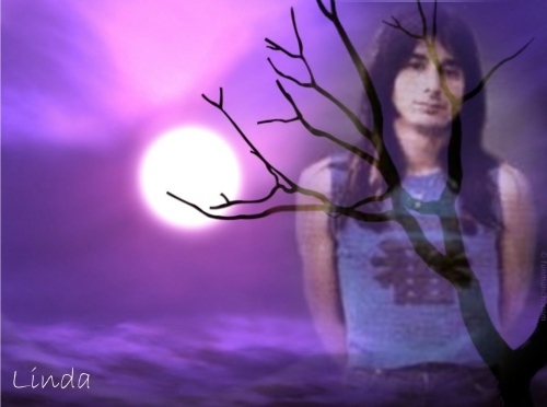 Steve Perry Image Wallpaper And Background
