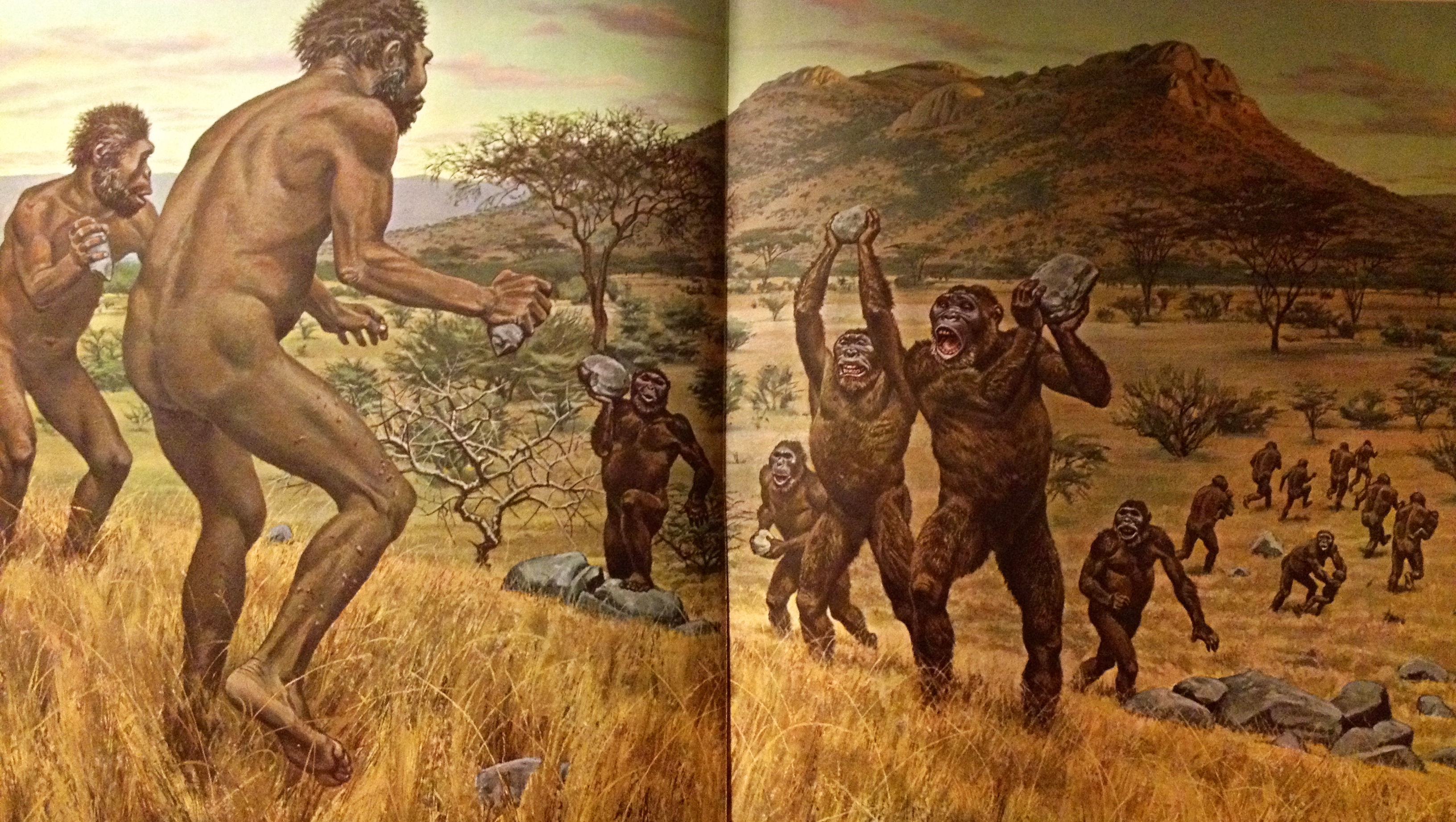 Life Magazine Book Titled Early Man Psychedelic