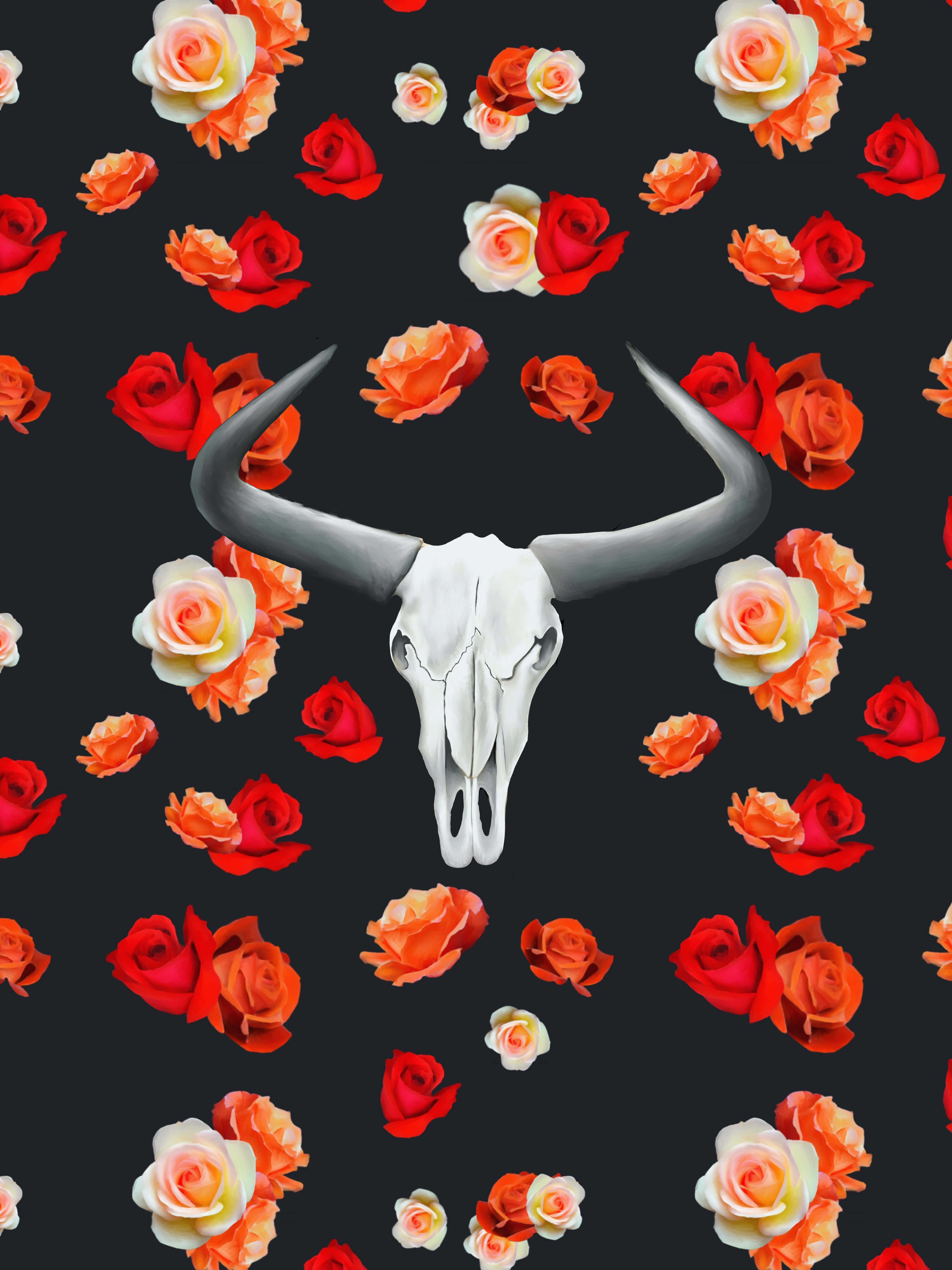 Bull Skull Wallpaper