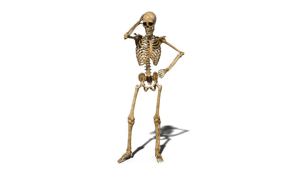 Worried Skeleton Thinking Human Isolated On White