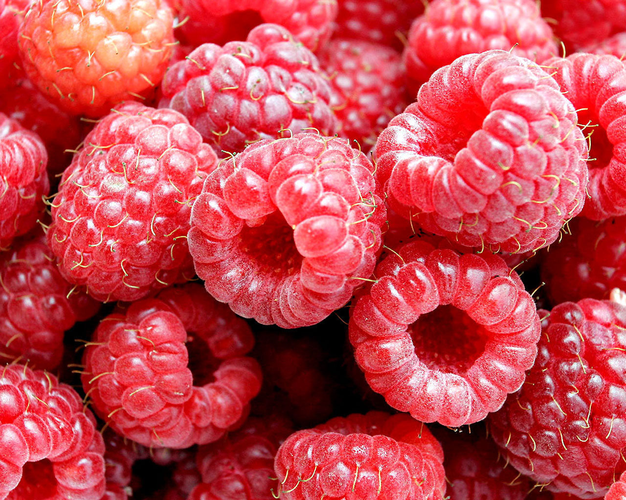 Food Image Raspberry Wallpaper Photos