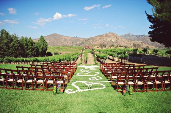 Vibrant Orfila Winery Wedding in California by Arina B Photography