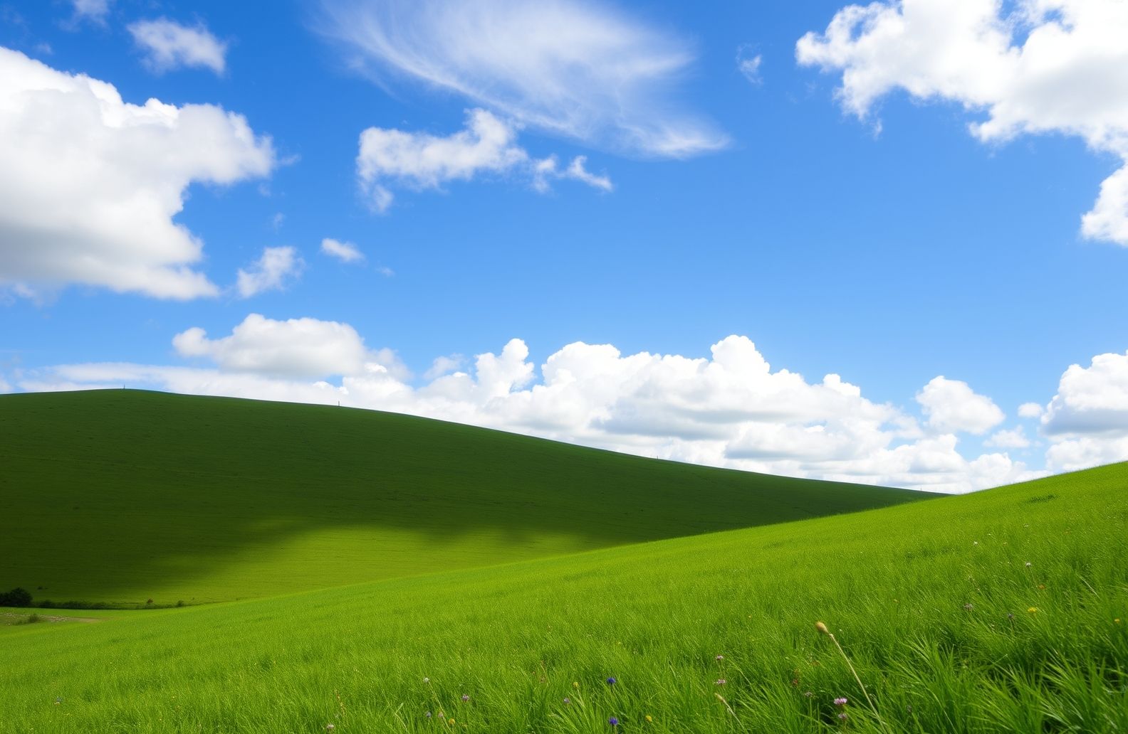 Windows Wallpaper