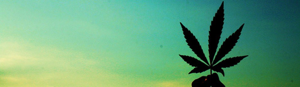 Weed Background Swami S Medical Marijuana