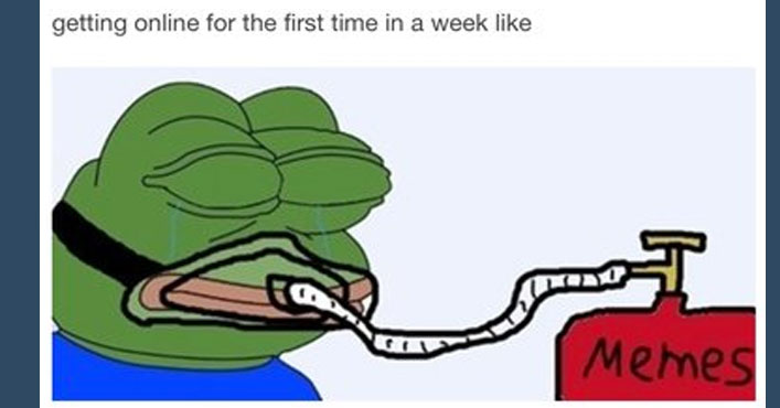 Pepe The Frog Sad Meme