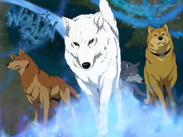 White Wolf Anime Wallpaper Wolve