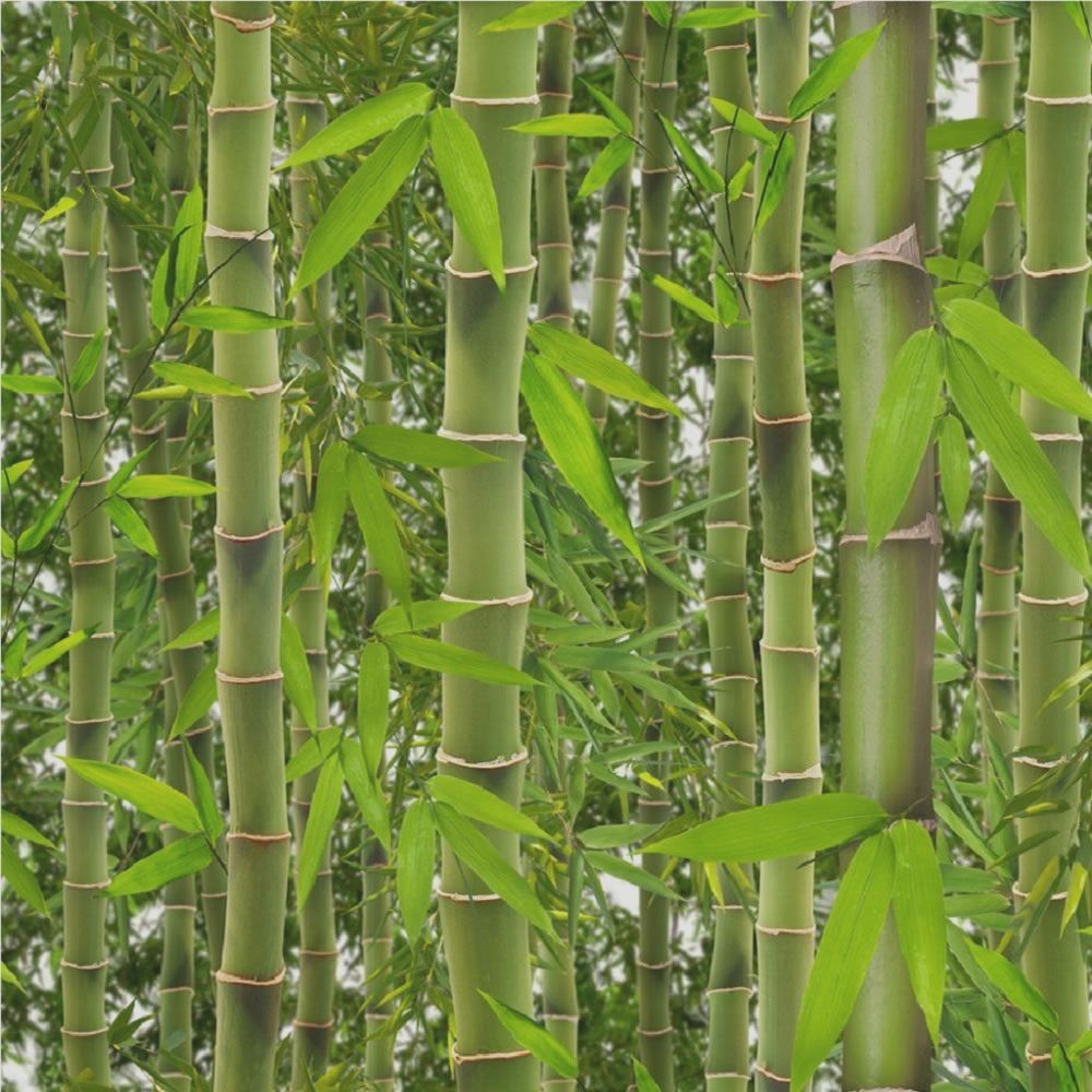 Decor Supplies Green J41504 Rainforest 3d Bamboo Tree