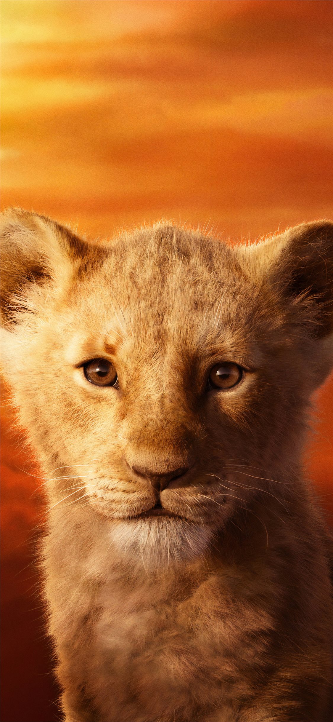 Jd Mccrary As Simba The Lion King 4k iPhone X Wallpaper