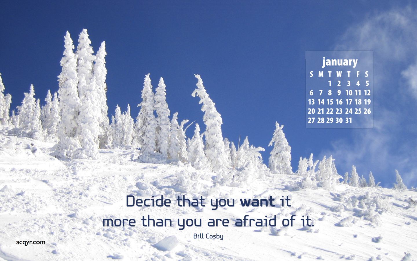 January Desktop Wallpaper Calendar