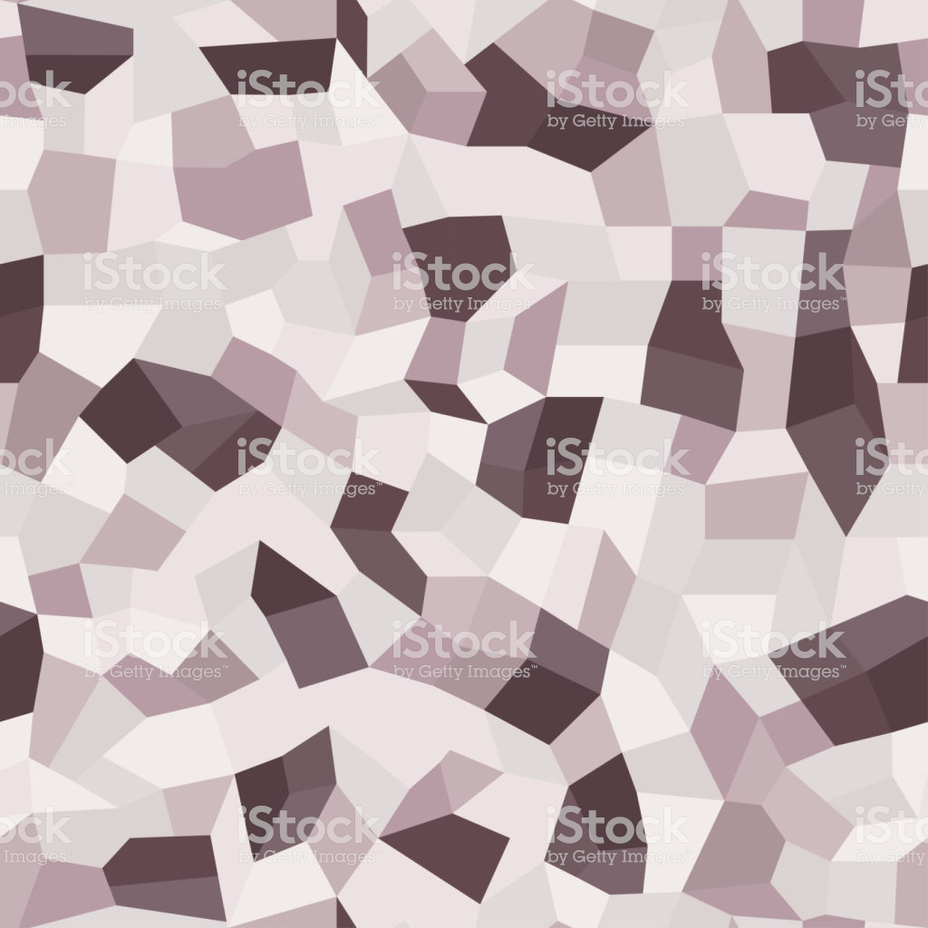 Mosaic Floors Of Marble Chips Terrazzo Polymer