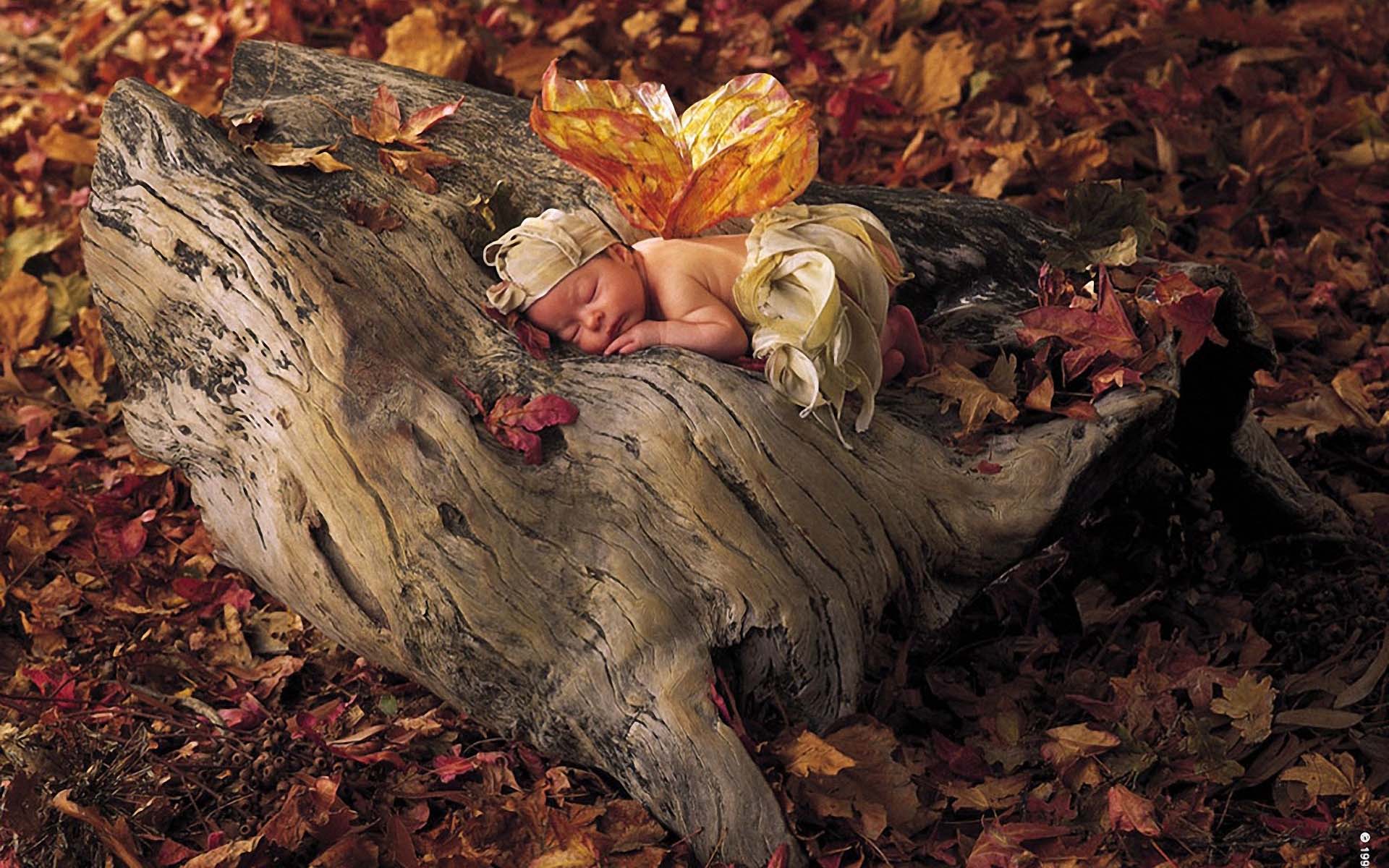 Autumn Fairy Baby Wallpaper