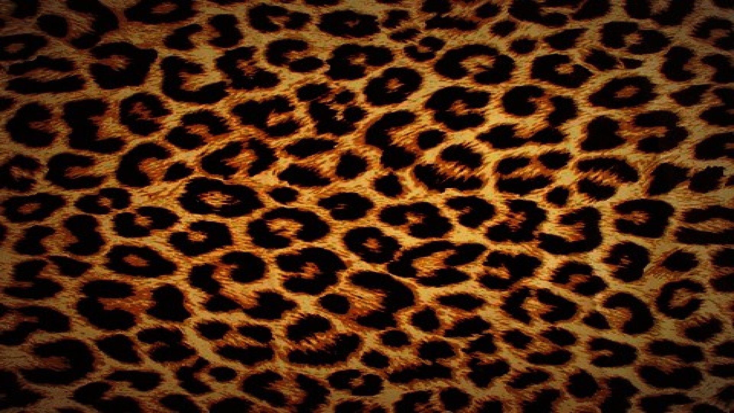 Animal Print Wallpaper