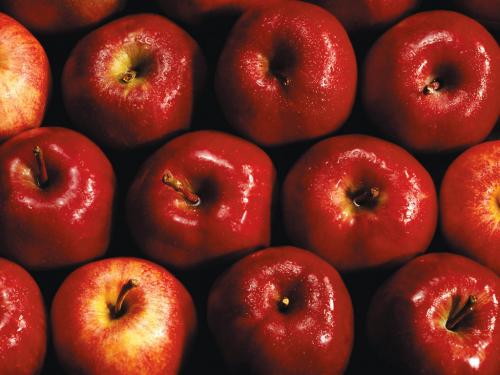 Red Apples Wallpaper