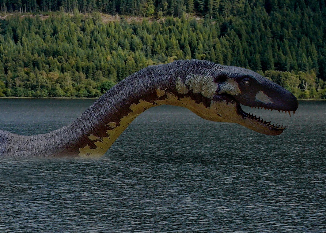 Loch Ness Monster Wallpaper Photo Shared By Wit21 Fans Share Image