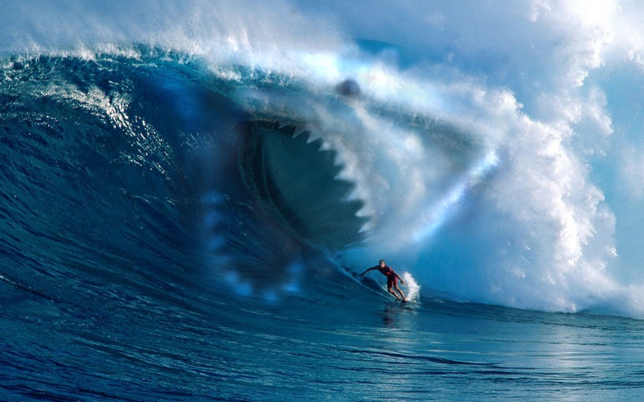 Shark Surfer Wallpaper